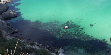 Крым начинает жить по новым правилам, которые удобнее для туристов