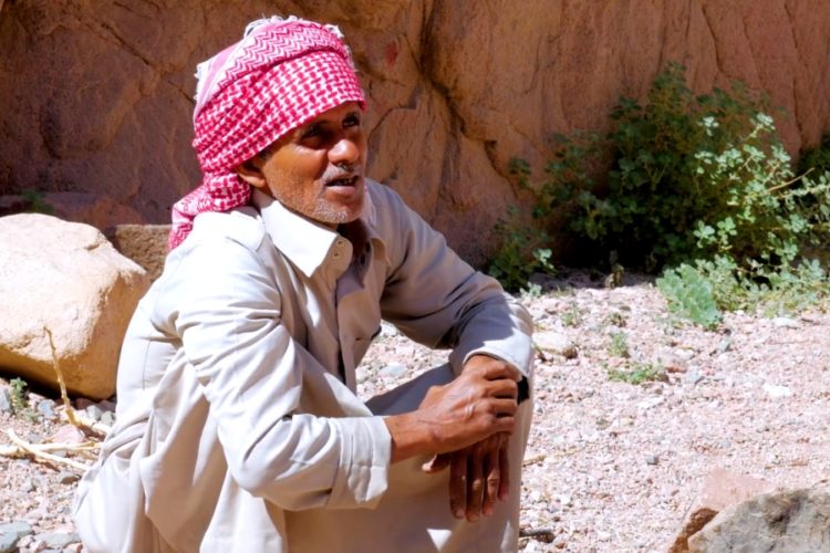 Авиакомпаниям выдали больше 200 допусков на рейсы в Египет