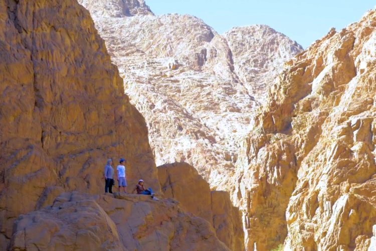 Российский туризм собрался решать проблему полетов в Египет