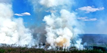 Пожары в России - какая ситуация сейчас?