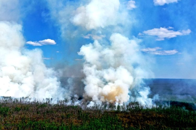 Пожары в России - какая ситуация сейчас?