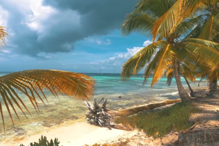 Стоимость отдыха в Доминикане снизилась до уровня Египта или Турции