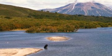 Стало известно, кто сыграл решающую роль в спасении туристов на Камчатке