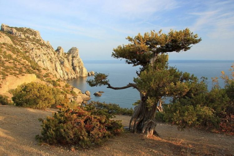 новость 22-09-2021 Российские туристы проведут ноябрьские праздники на отечественных курортах