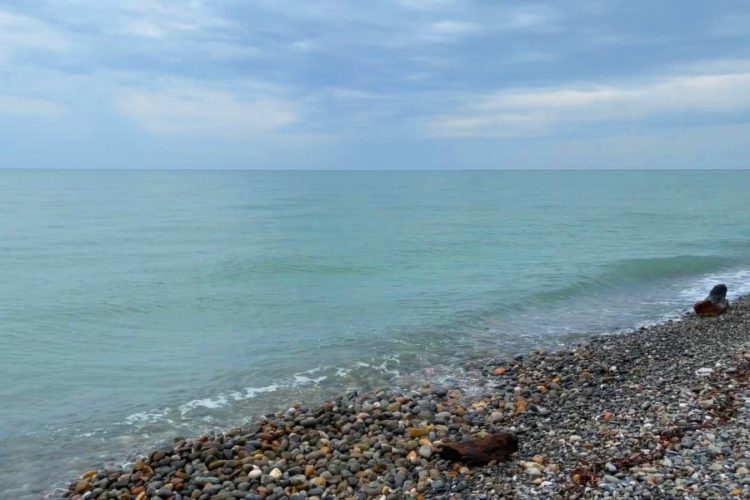 Туристический поток в Краснодарский край удивил скептиков