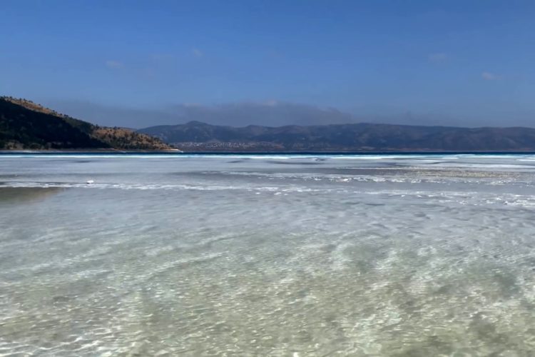 В Турции сообщили, сколько россиян приедет до конца года