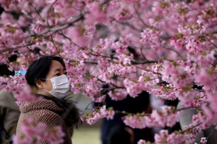 Пассажирам, которые собираются в Японию на сакуру, предлагают выгодные варианты страховки