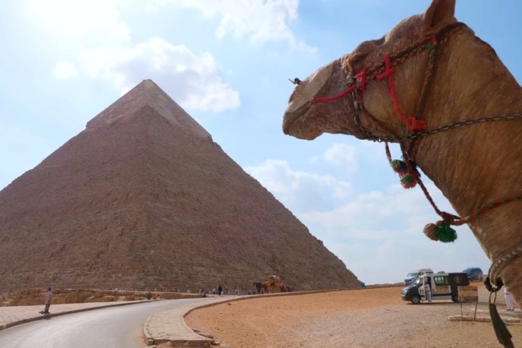 Библио-Глобус уточнил информацию по турам в Египет