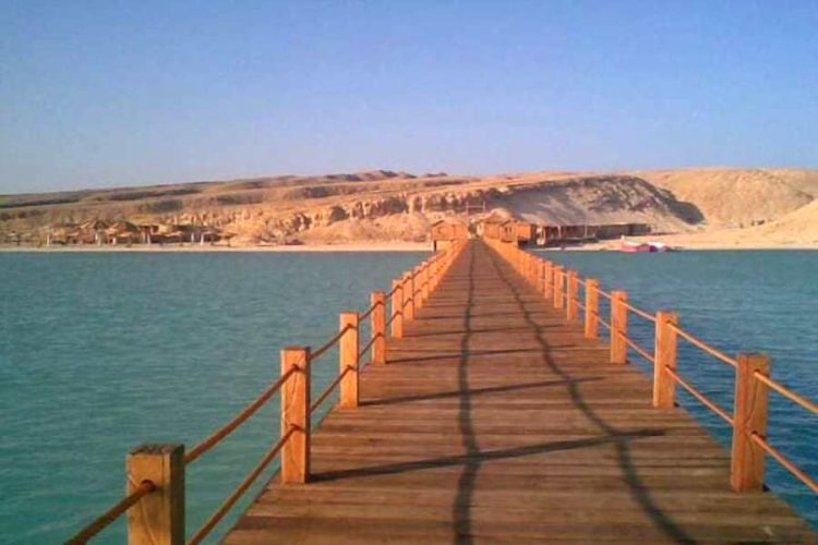 Министр туризма Египта узнал, сколько россиян возвращаются домой с ковидом