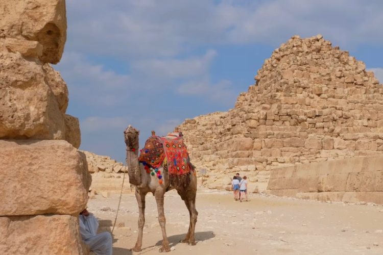 Обозначены подробности новогоднего отдыха в Египте