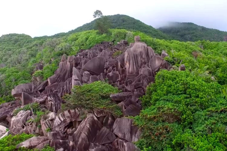 Иностранцы не смогли обогнать россиян по турпотоку на Сейшельские острова