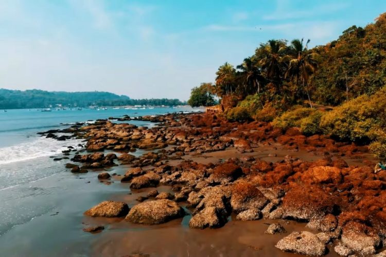 В индийском штате Гоа вскоре смогут побывать россияне