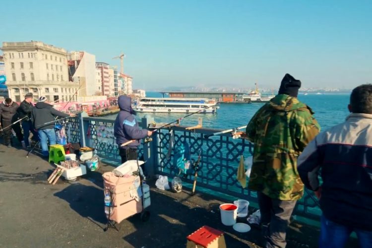 Европейский паспорт здоровья можно получить через турецкое приложение