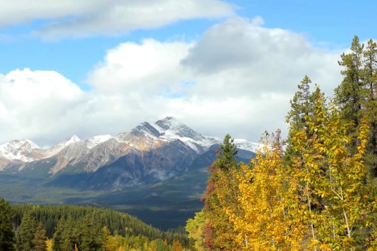 Пользователи TripAdvisor больше не увидят суперцен