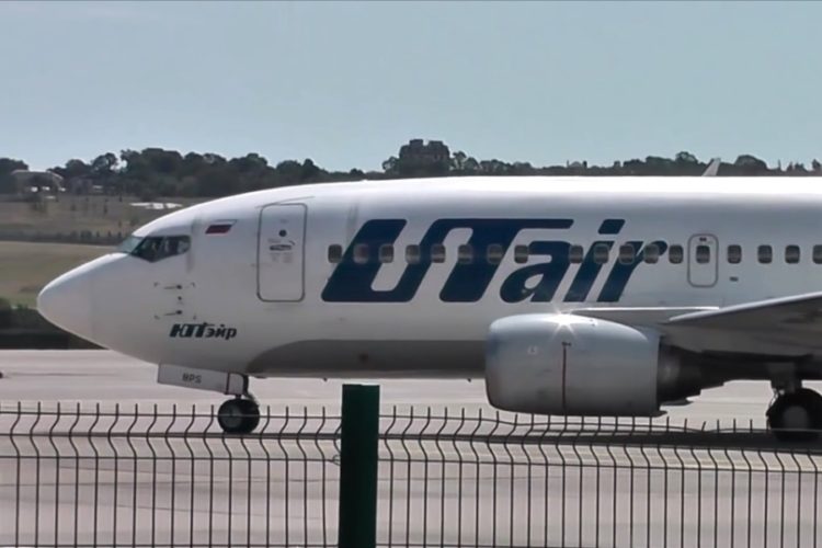 UTair меняет правила провоза животных в салоне
