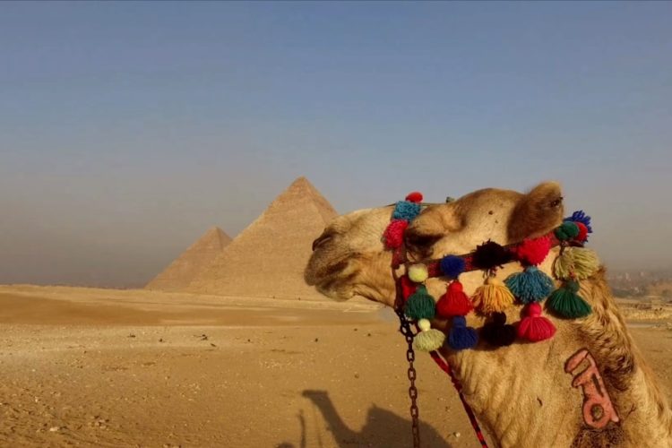 ANEX Tour открывает продажу туров в Египет ещё из 7 городов
