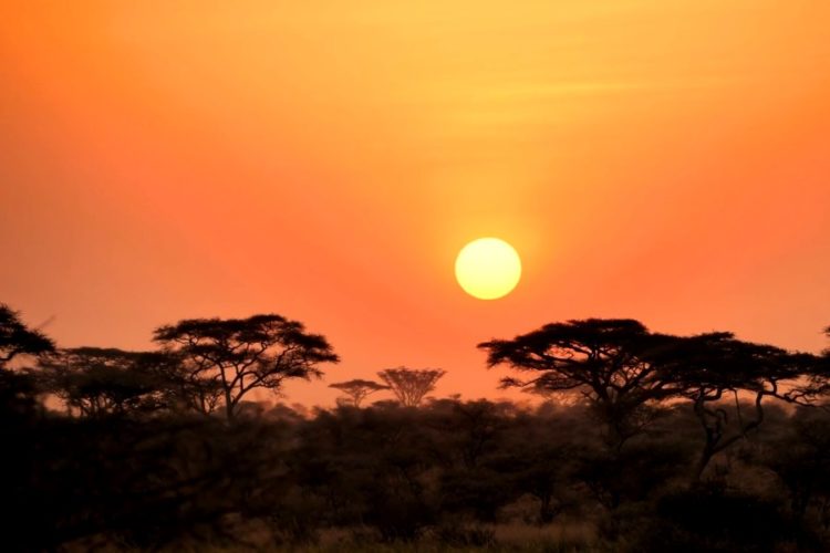 Российские туристы еще не скоро увидят Танзанию