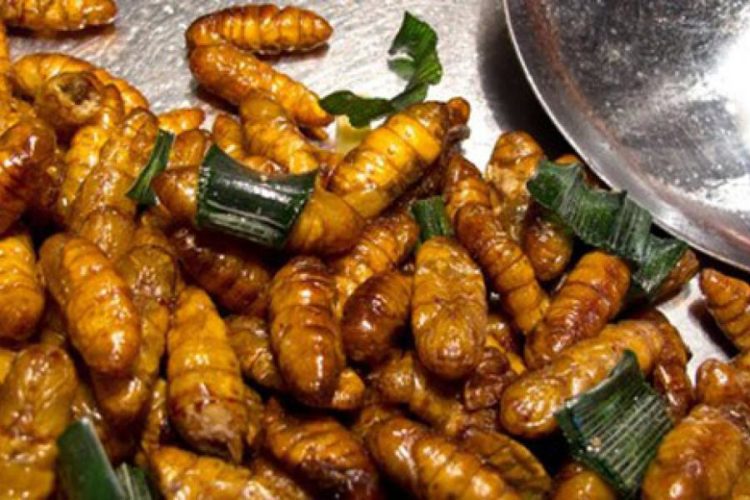 В Японии установили автоматы по реализации съедобных насекомых