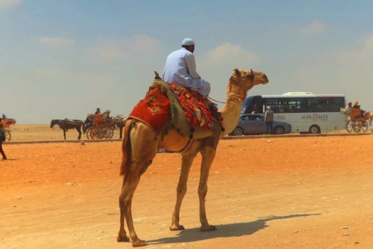 В хороших отелях Египта не хватило мест приоритетным туристам