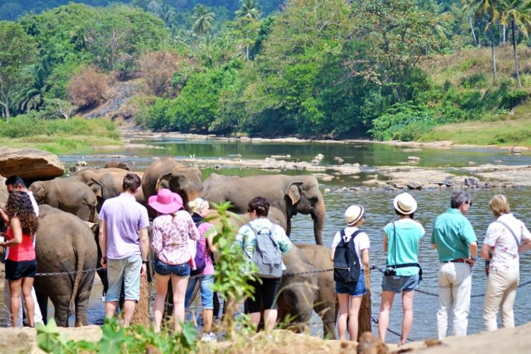 новость 02-10-2021 Привитым туристам на Шри-Ланке повторный тест не потребуется