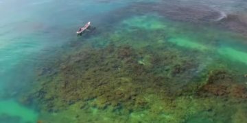 Популярная среди туристов страна заявила об отмене изоляции