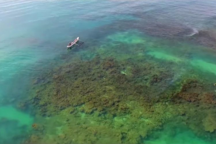 Популярная среди туристов страна заявила об отмене изоляции