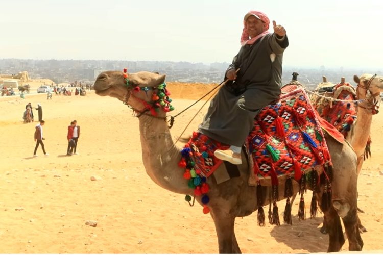 РСТ: В Египет будут летать рейсы из 25-30 аэропортов