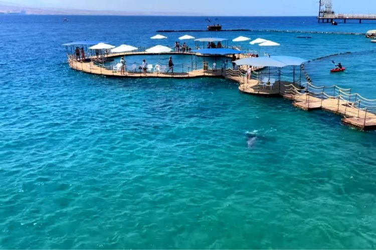 Израиль разработал протокол приема туристов с прививкой Спутником V