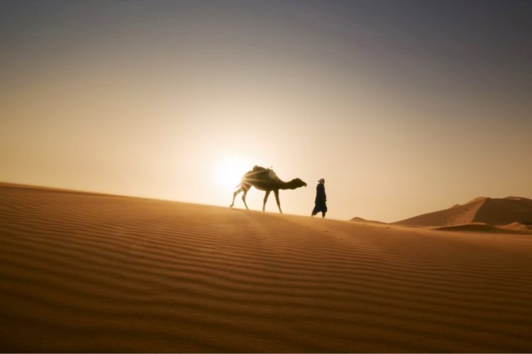 Почти все желающие уже вернулись в РФ из Марокко