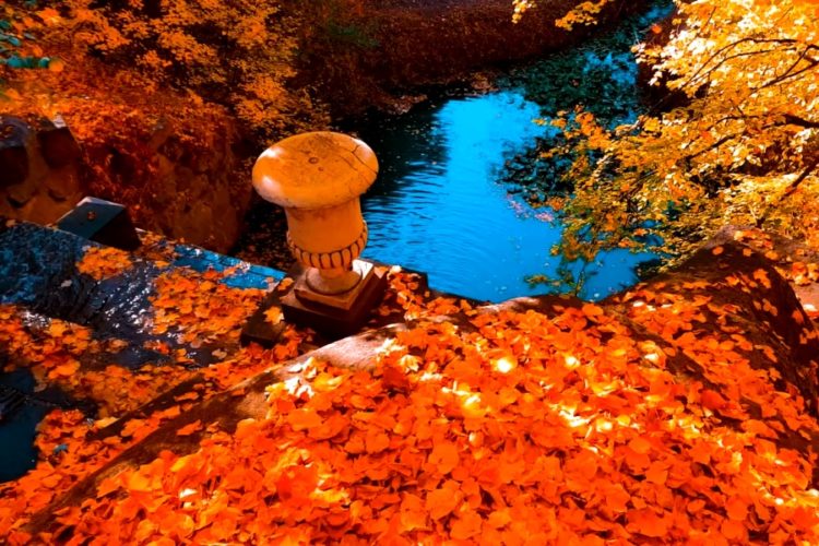 Туроператоры рассказали о планах россиян на ближайшие праздники