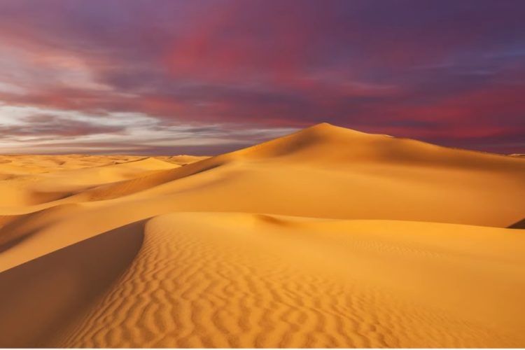 Египет обещает и дальше поддерживать туроператоров