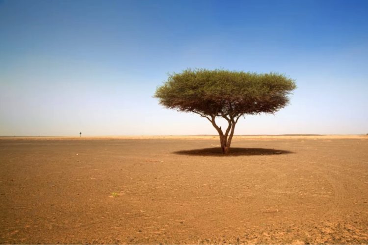 Туры в Марокко еще не скоро станут доступными