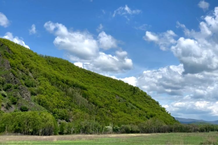 В Приморском крае сообщили, как будут внедрять систему QR-кодов