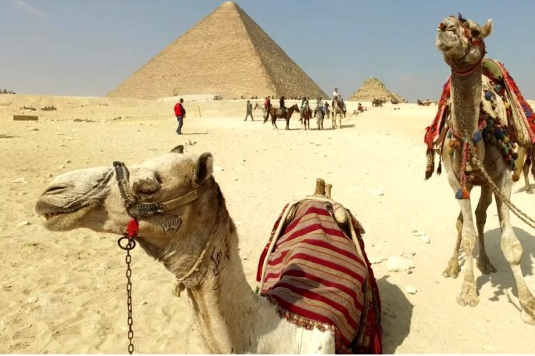 Все запреты на туризм из РФ в Египет сняты