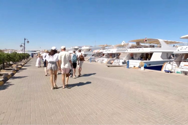 Когда Спутник V признает ВОЗ и на что можно рассчитывать в октябре-ноябре?