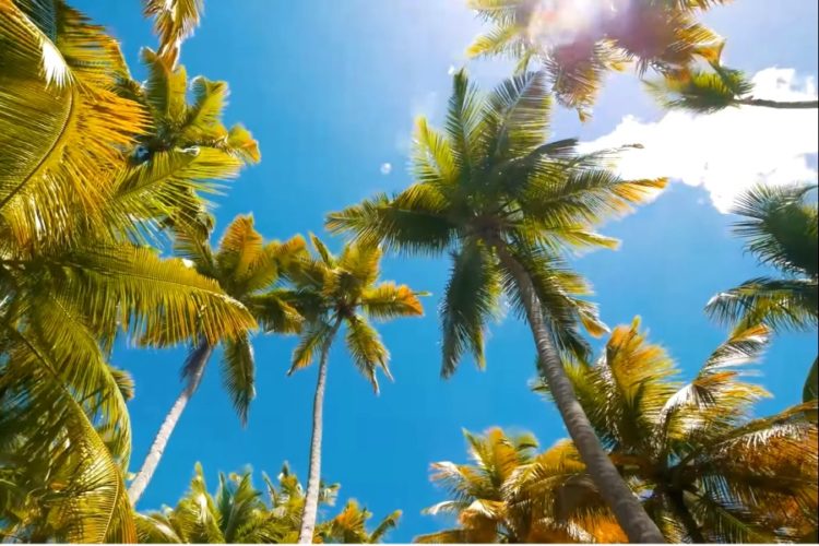 Доминиканская республика делает все ради рекордных турпотоков из России