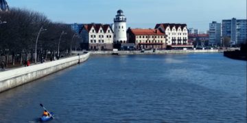 В Калининградской области вводят QR-коды повсеместно