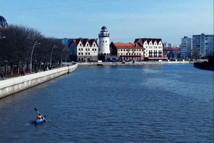 В Калининградской области вводят QR-коды повсеместно