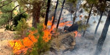 Россиян обвиняют в пожарах в Турции
