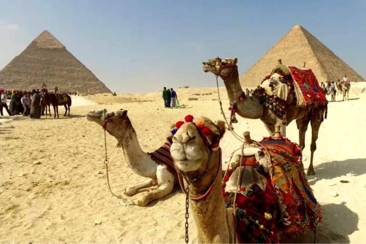 Tax Free в Египте упростили. Что это значит?