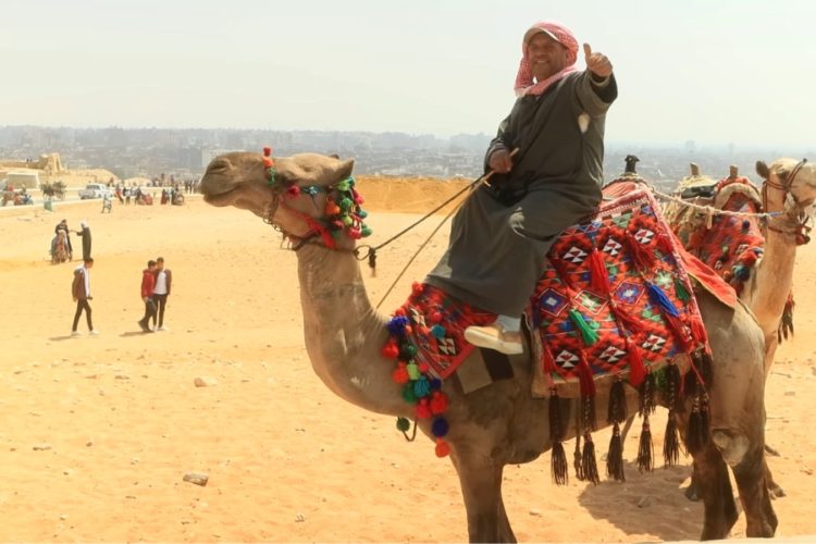 Отели Египта будут тщательнее следить за туристами