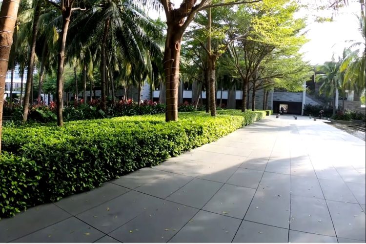 Хайнань озвучил осторожный сигнал к открытию для иностранцев