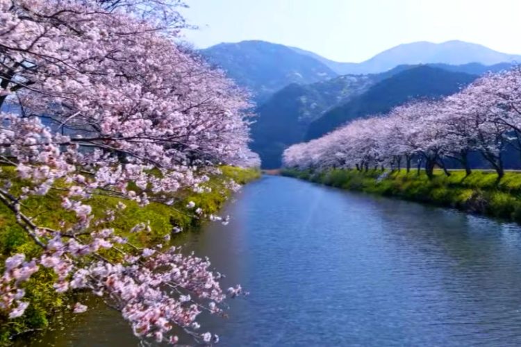 Япония осторожно открывает границы для туризма