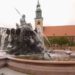 ЕС: Срок действия сертификата вакцинации сократят