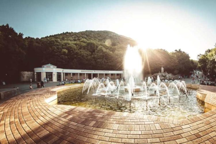 Белоруссия помогла Кавминводам восстановить объемы продаж