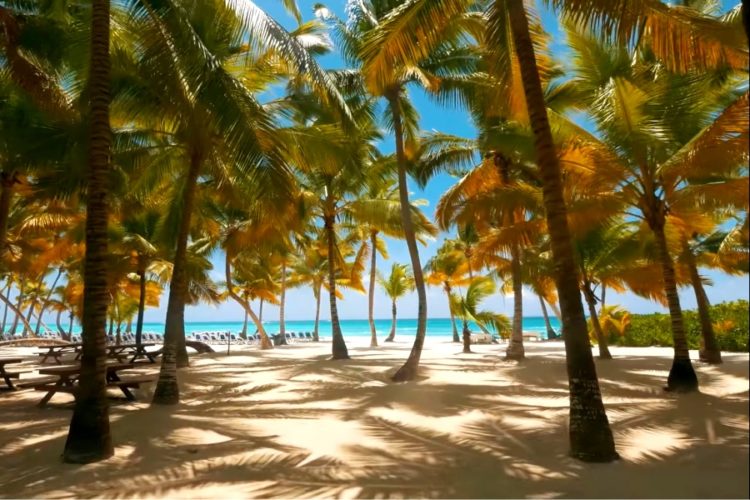 Стали известны подробности открытия на курорте Пунта-Кана