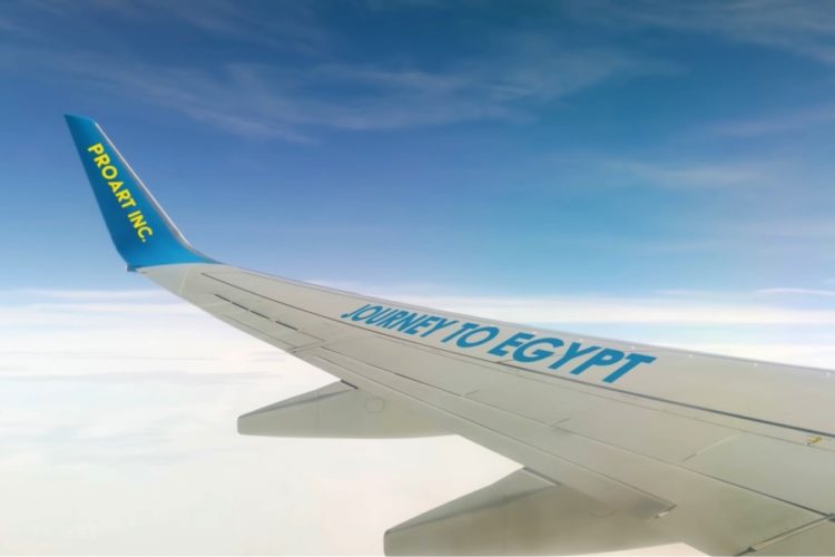 В аэропорты Египта вернулась важная для туристов услуга