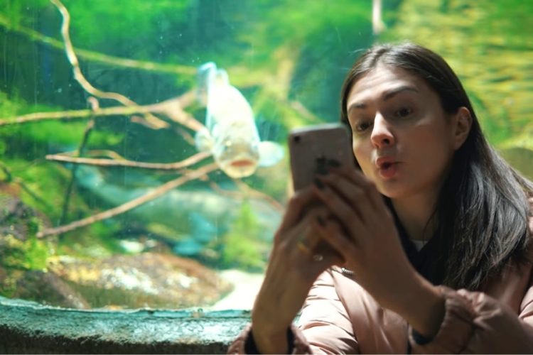 Венгрия напомнила, какие объекты впустят туристов только с ковид-паспортами