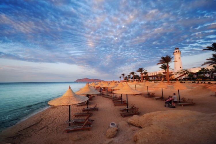 новость 14-11-2021 Сколько будут стоить авиабилеты на египетские курорты в ноябре?