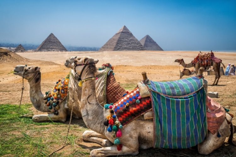 новость 19-11-2021 На каких условиях вакцинированные туристы могут въезжать в Египет?